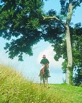 Horse riding on the Isle of Wight